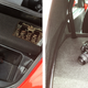Image for article titled The Electra Meccanica Solo Is a Supercar For Efficiency Freaks